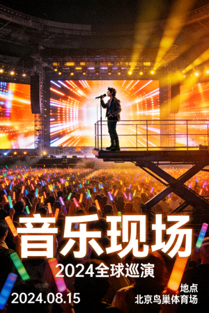 音乐电影海报：演唱会现场